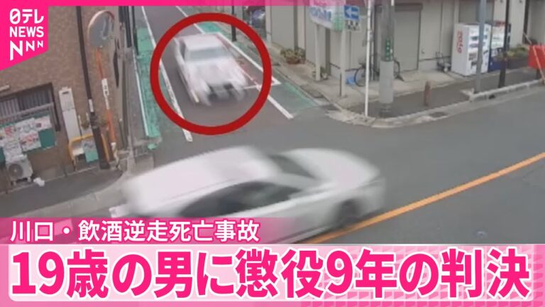 【川口・飲酒逆走死亡事故】19歳の男に懲役9年判決  危険運転致死罪成立する