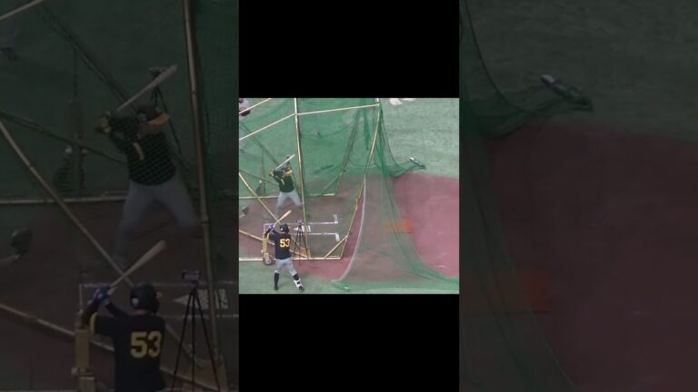 タイガース藤田健斗のフリーバッティング（2024年7月16日読売ジャイアンツ対 阪神タイガース）