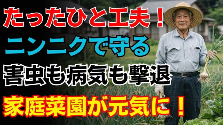 【驚き】家庭菜園が変わる！プロも実践するニンニクの使い方｜自然の力で病気・害虫に強くなる