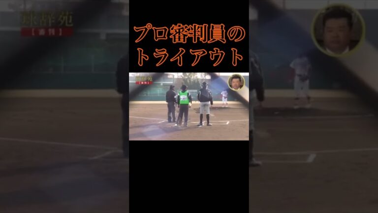 プロ野球審判への道！実技試験での退場宣告シーン #野球 #野球審判 #umpire