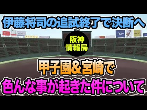 【伊藤将司の追試終了で決断へ..】甲子園&宮崎のW調整がいろ盛り沢山だった件につい