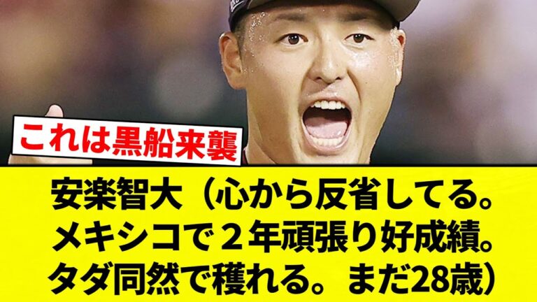 【どう？】安楽智大（心から反省してる。メキシコで２年頑張り好成績。タダ同然で穫れる。まだ28歳）←どうやろ？【プロ野球反応集】【2chスレ】【なんG】