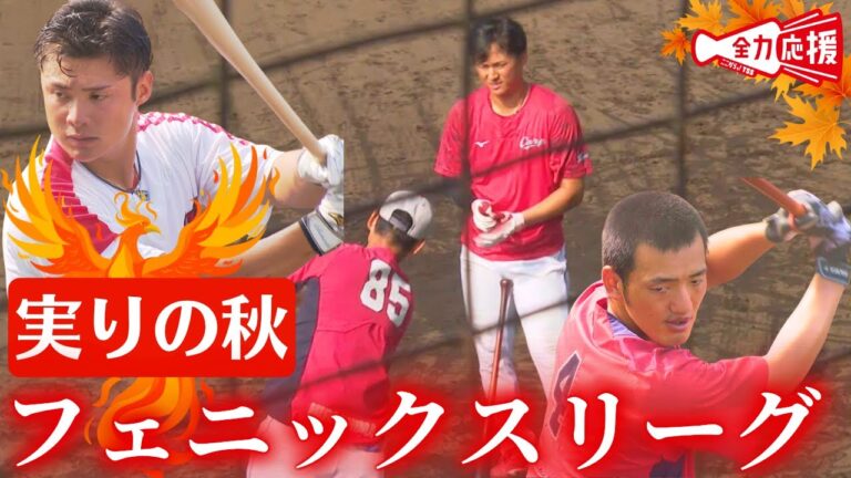 【フェニックスリーグ】実りの秋！選手各々が課題に取り組む🔥二俣翔一は捕手練習！【球団認定】カープ全力応援チャンネル