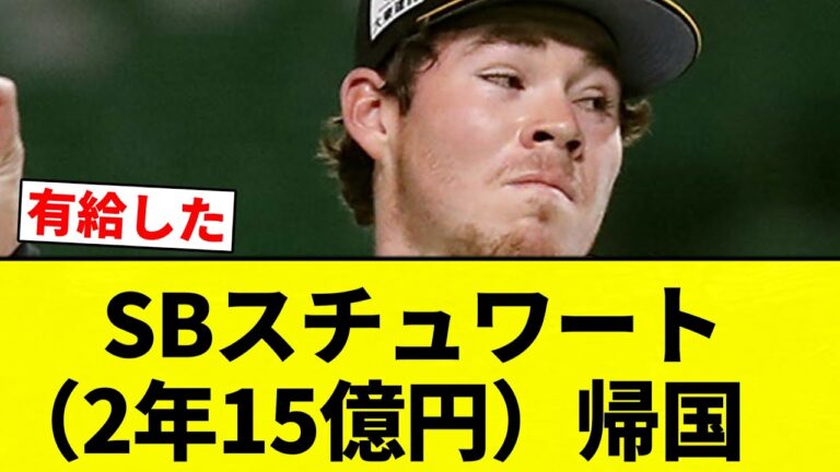 【お前 帰ったな】　SBスチュワート（2年15億円）帰国【プロ野球反応集】【2chスレ】【なんG】