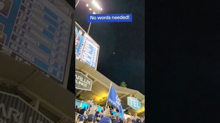 屋根を越えていく大谷翔平のホームラン！😱　ブリュワーズ戦10月18日リーグ優勝決定シリーズ🏆　現地映像