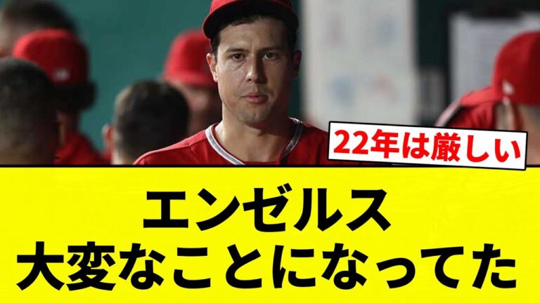 【ひでえ...】エンゼルスの例の件の詳細...【プロ野球反応集】【2chスレ】【なんG】