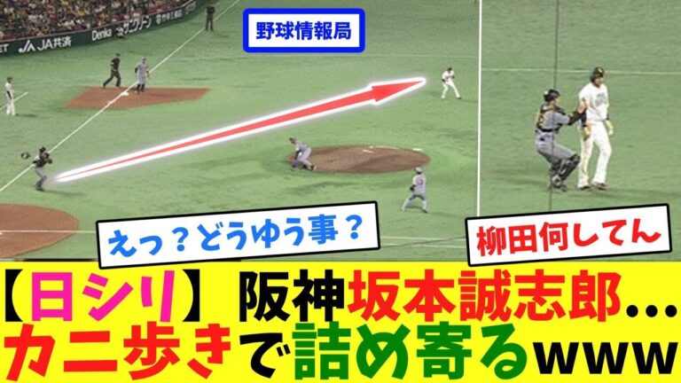 【日シリ】阪神坂本誠志郎...カニ歩きで詰め寄るwww【ネット情報局】