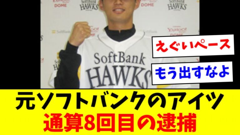 【悲報】元ソフトバンク●●、８回目の逮捕