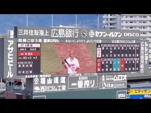 20250316　林晃汰 登場曲【｢ミス･ブランニュー･デイ｣／サザンオールスターズ】　8回ｳﾗ　広島東洋ｶｰﾌﾟ@MAZDA Zoom-Zoom ｽﾀｼﾞｱﾑ広島･ﾋﾞｼﾞﾀｰﾊﾟﾌｫｰﾏﾝｽ