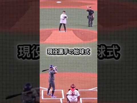現役レジェンドにバッターが緊張？ #始球式 #近本光司 #阪神タイガース