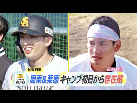 球春到来　周東&栗原　キャンプ初日から存在感【スポーツキラリ★】