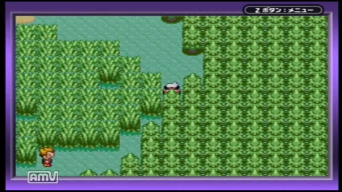 ポケットモンスター サファイア マップ置き換えバグ?でなぞのばしょへ!!!