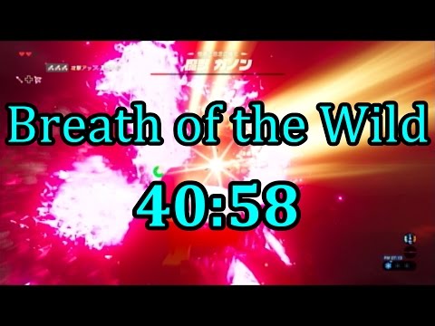 【RTA】ゼルダの伝説 ブレスオブザワイルド 40:58でクリア【字幕解説】