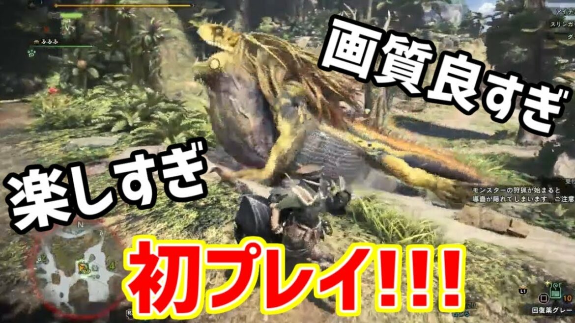 念願のモンハンワールド、初プレイ!楽しすぎて感動&大興奮!!【モンスターハンター:ワールド ベータテスト版(PS4 Pro)】