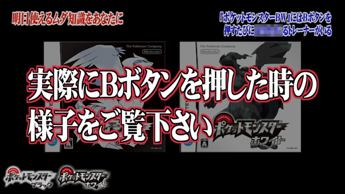 【トリビア】Bボタンを押すたびに○○するトレーナーがいる【ポケモンBW・ブラック/ホワイト】