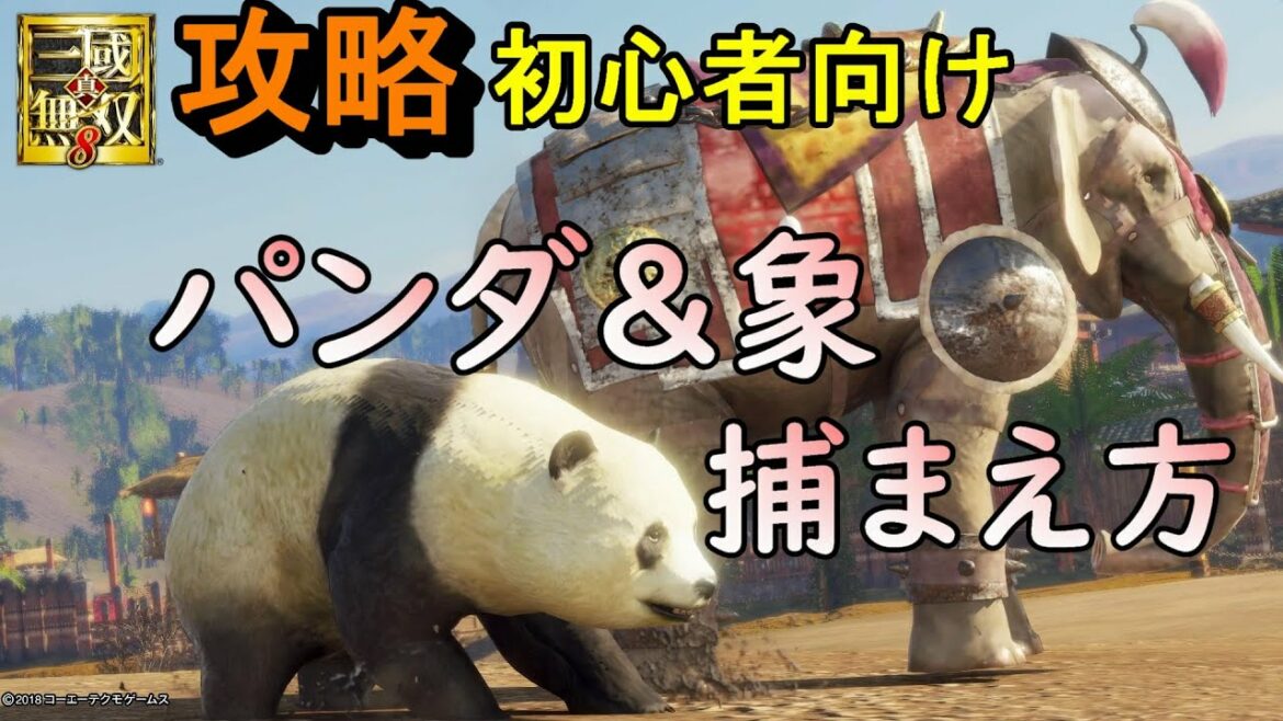 真・三國無双8【攻略】罠箱の使い方&パンダと象の捕まえ方/初心者向け/支援獣と鑑賞動物 Dynasty Warriors 9