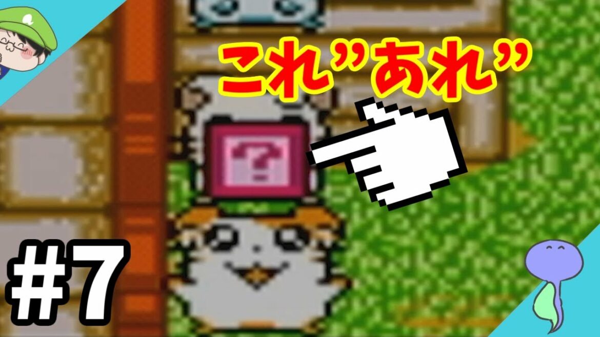 とっとこ発見!?”あれ”を手に入れたのだ!!-とっとこハム太郎2 ハムちゃんず大集合でちゅ-
