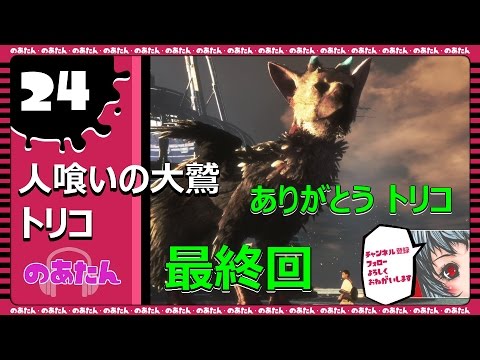 #24【人喰いの大鷲トリコ Value Selection】大号泣の最終回…トリコありがとう 【のあたん】