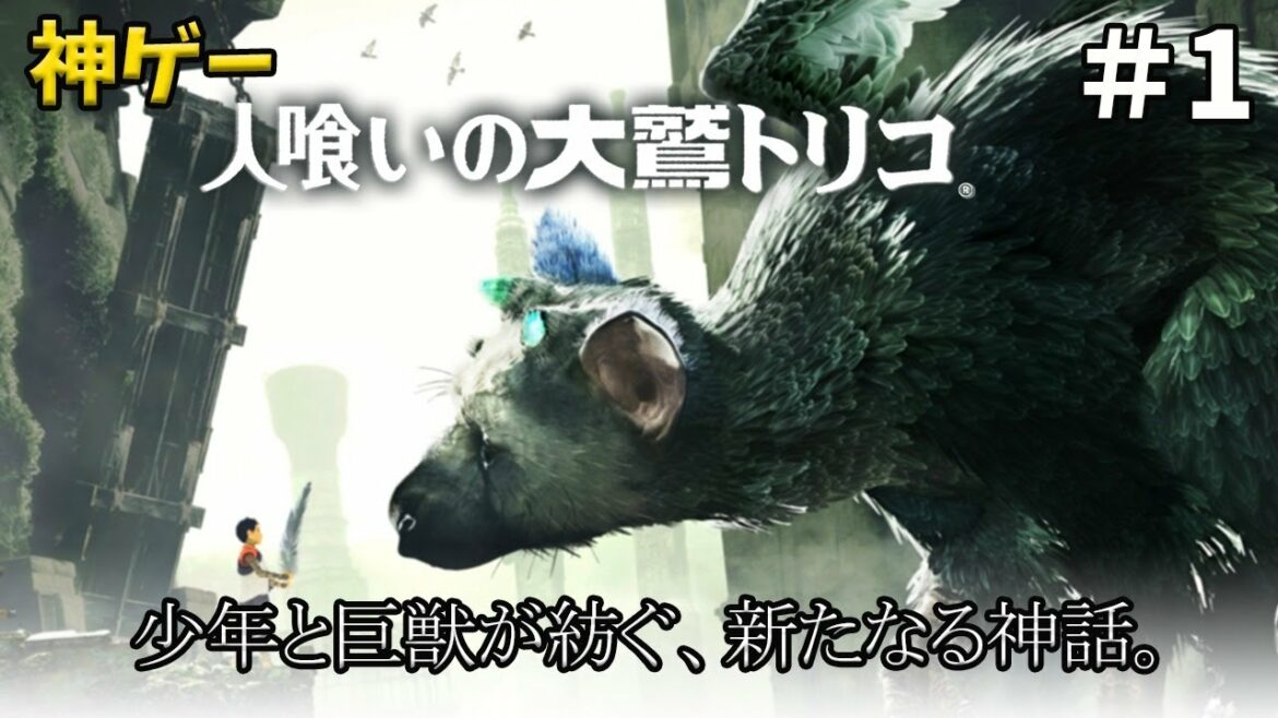 #1【人喰いの大鷲トリコ】 神ゲー 少年と巨獣が紡ぐ心に残る神話  こはるん実況 【PS4pro/LIVE】The Last Guardian
