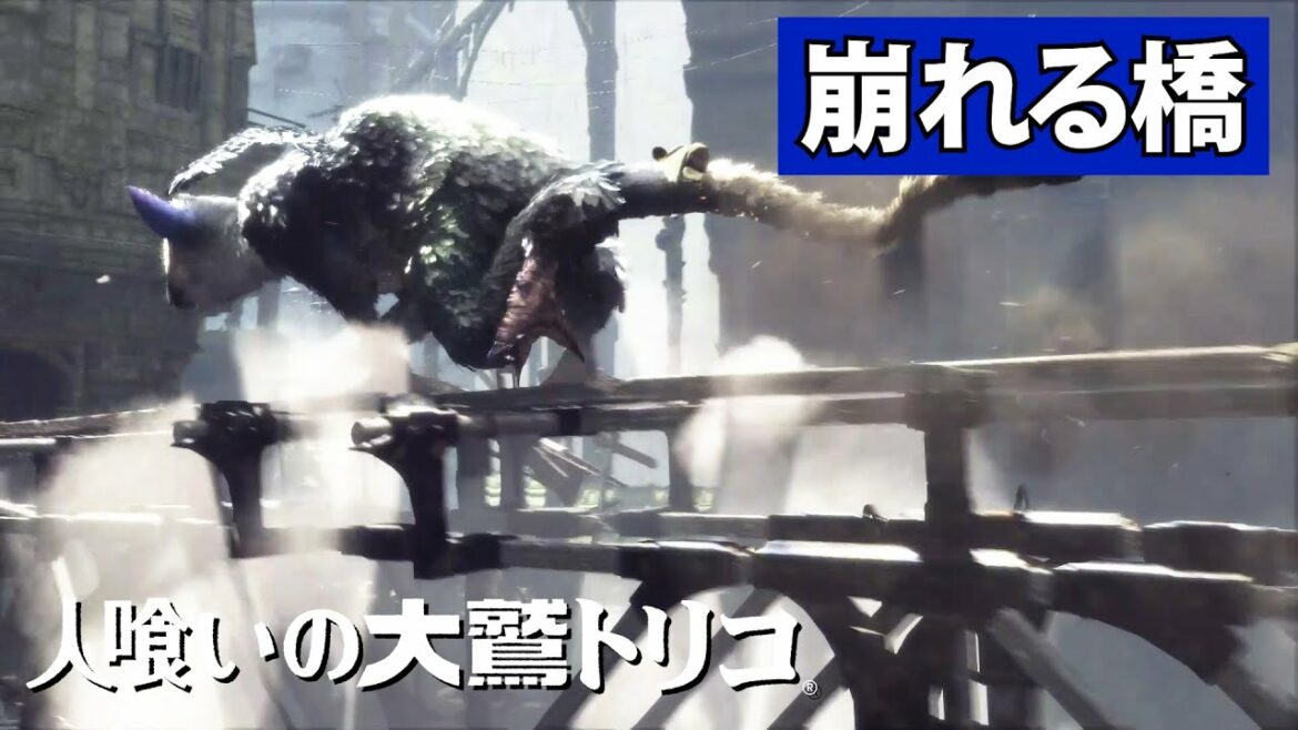 #7 トリコに助けられ絆が芽生える【人喰いの大鷲トリコ】