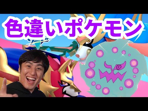 【ポケモン剣盾】#2 ダイパリメイク前に、色違いミカルゲ探し!!