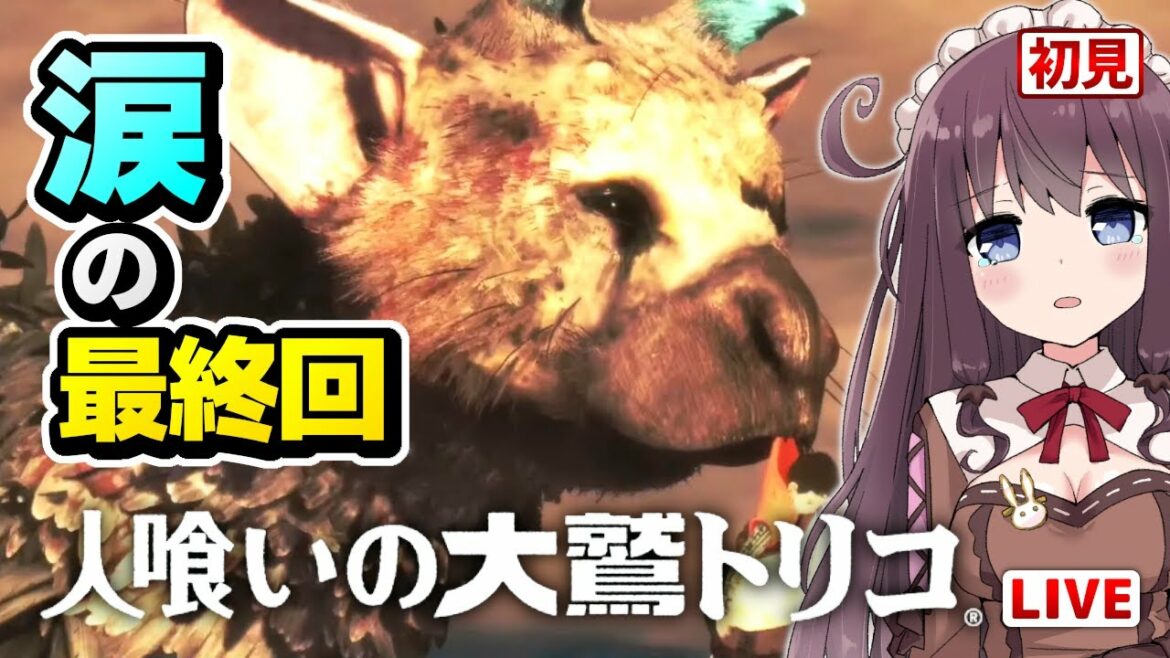【人喰いの大鷲トリコ】エンディング 女性実況 涙と感動の大鷲のトリコ泣ける最終回【初見プレイ/The Last Guardian/PS4】#6 VtuberゲームLIVE配信