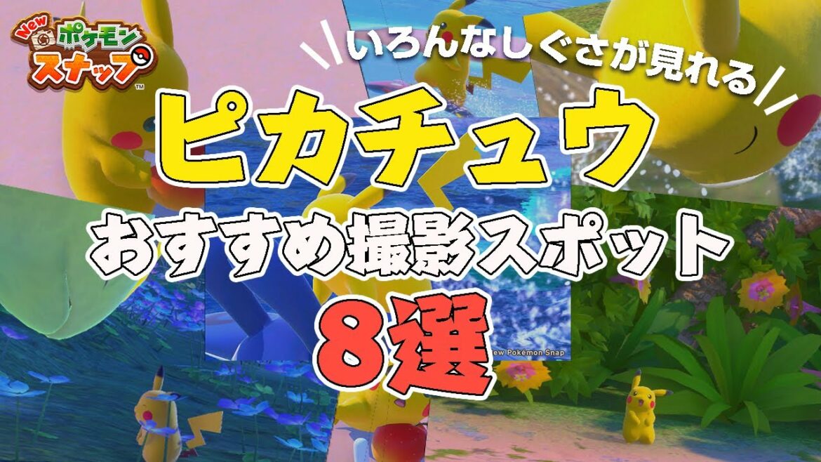 New ポケモンスナップ ピカチュウが撮れるおすすめ撮影スポット8選紹介します!