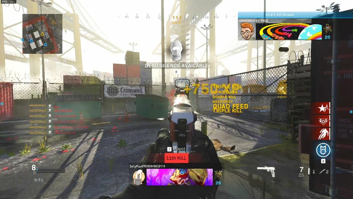 Sniping with a pistol gets me reported ππ (Modern Warfare PC)