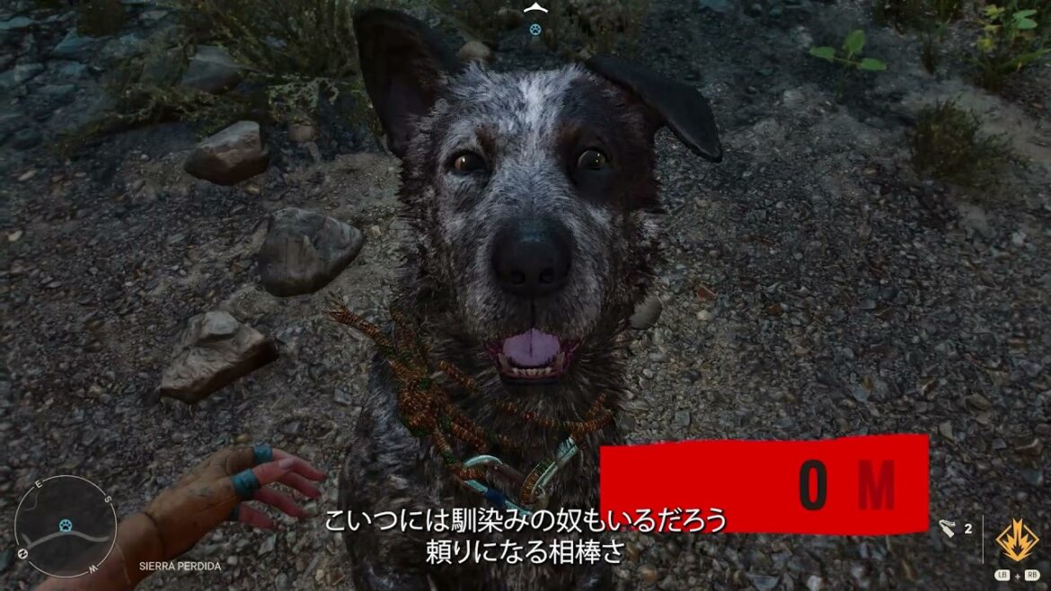 『ファークライ6』あなたにピッタリのアミーゴは?