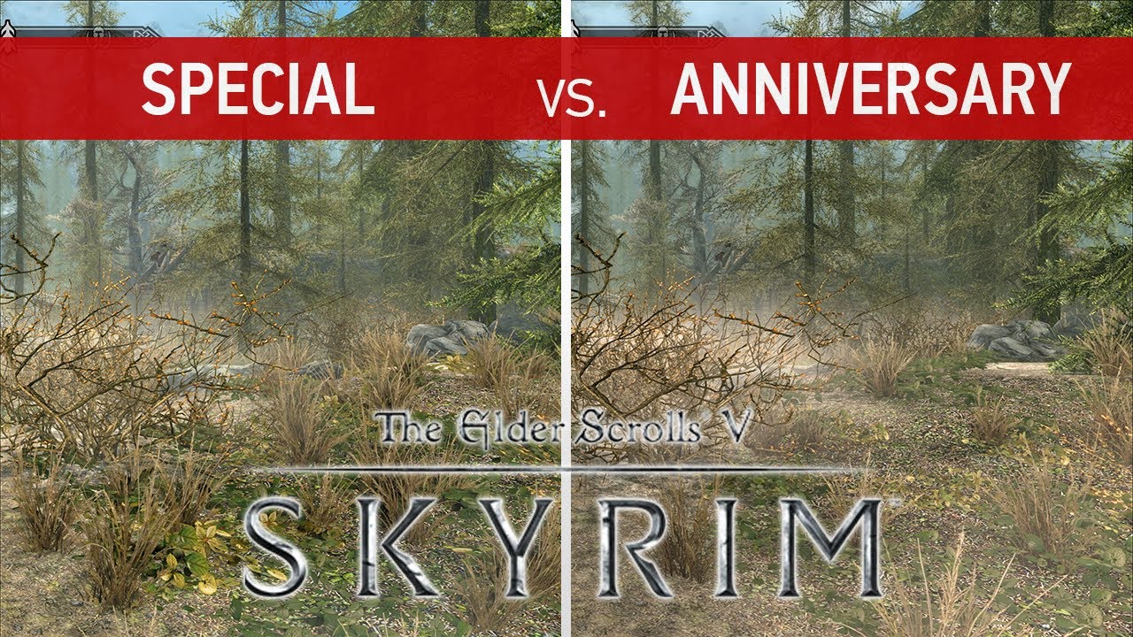 Skyrim Special Edition Vs Anniversary Edition