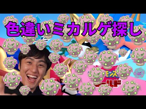 【ポケモン剣盾】#20 ダイパリメイク前に色違いミカルゲ探し!決めます!!【2601~】