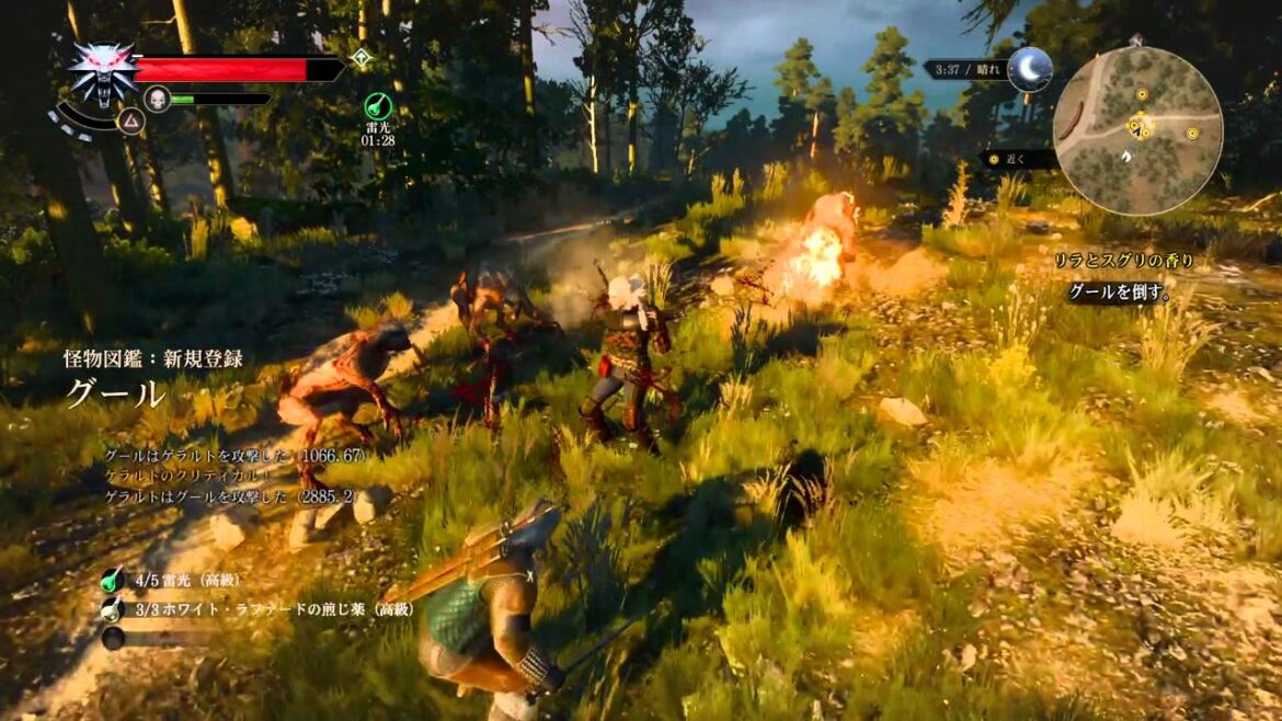 ウィッチャー3 ワイルドハント 強くてニューゲーム/開幕グール戦【デスマーチ】