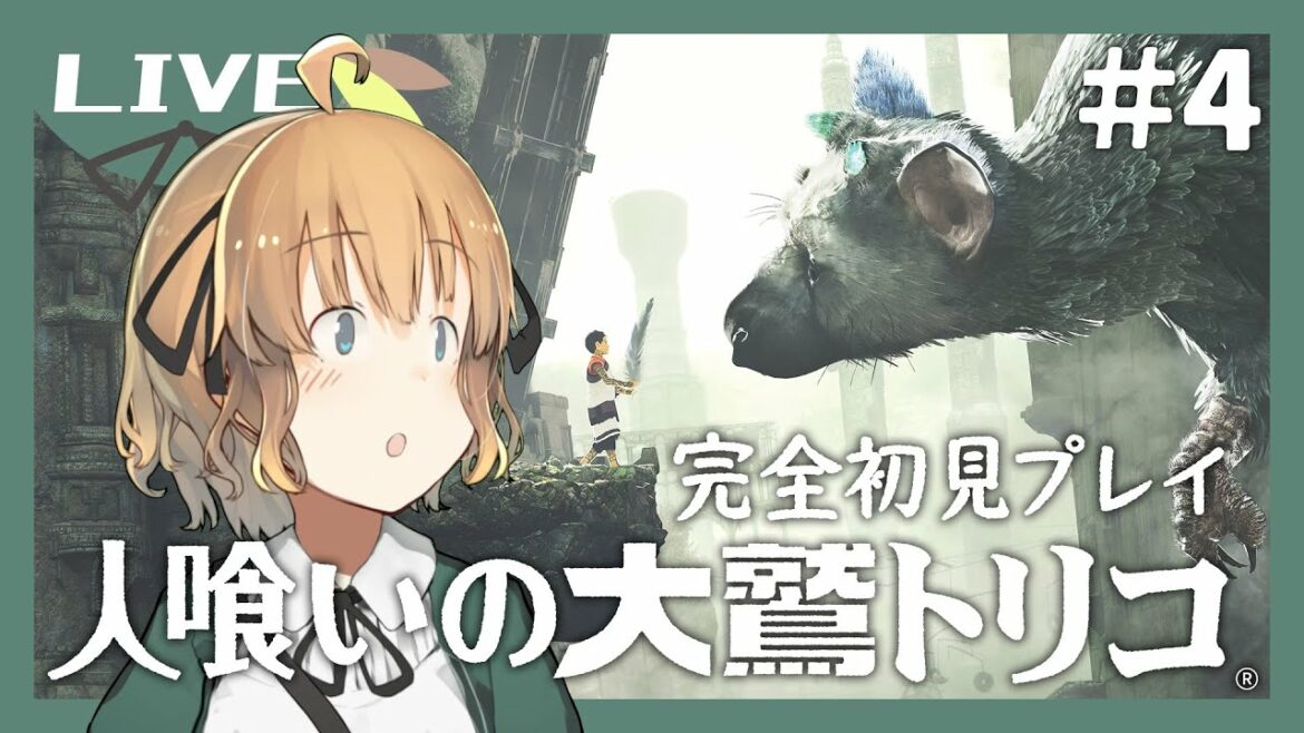 #4【 人喰いの大鷲トリコ 】トトキ と トリコ が紡ぐ、新たなる神話【 兎々錦サキ / #ととき放送局 】