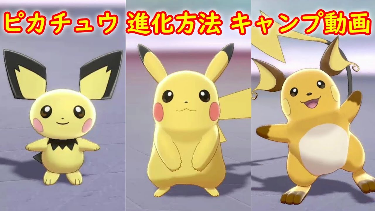 ピチュー ピカチュウ ライチュウ 進化方法 攻略 キャンプで遊ぶ ポケモン ソード シールド ポケモン剣盾 Games Wacoca Japan People Life Style