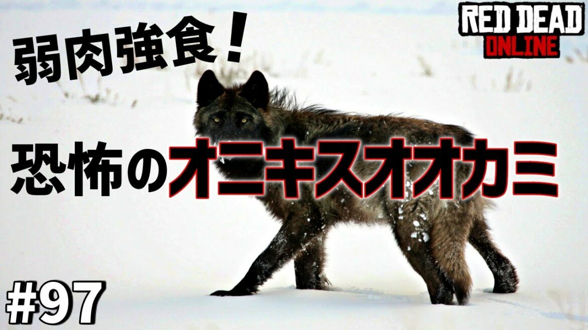 PS4 レッドデッドリデンプション2 【RDO】 #97 伝説の狼に遭遇! 突如現れてパニック!