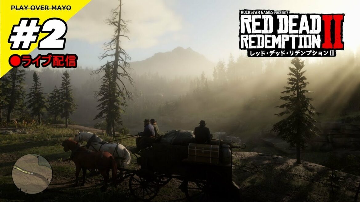 #2【レッドデッドリデンプション2】(Red Dead Redemption) steam版 #playovermayo