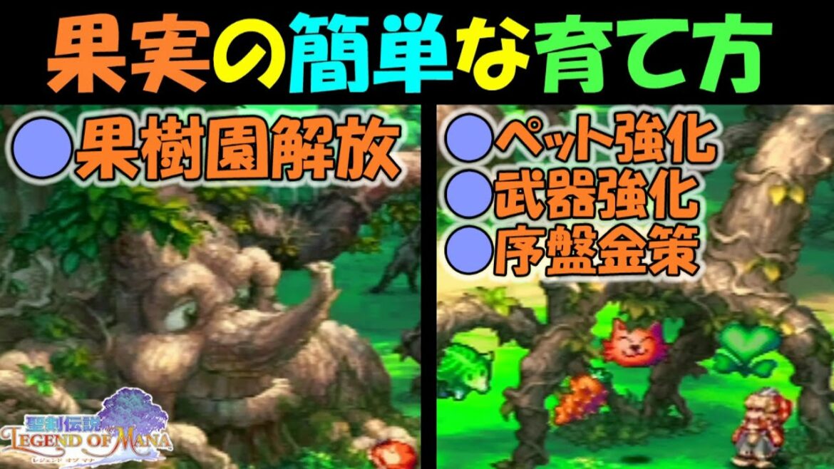 【聖剣伝説LOM】 果実の簡単な育て方と果樹園発生条件やお役立ち情報 【聖剣伝説レジェンドオブマナ】