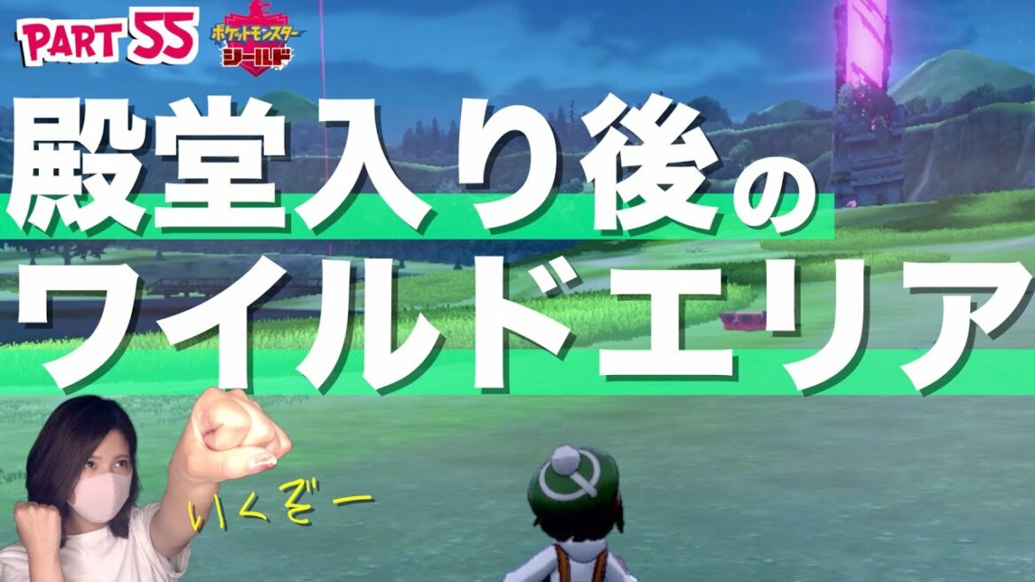 殿堂入り後のワイルドエリアでポケモン狩りじゃい!!【ポケットモンスター シールド】part55