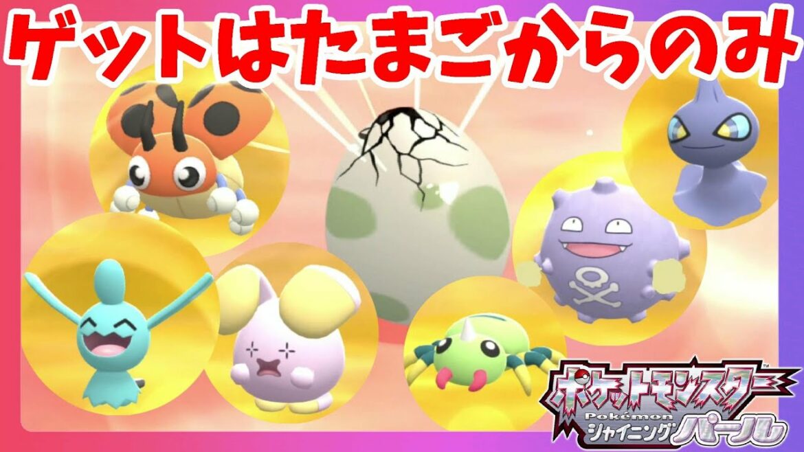 たまごでしかゲットできないポケモン達!図鑑を埋めるたまご作戦【ポケモンダイパリメイク】ブリリアントダイヤモンドシャイニングパール