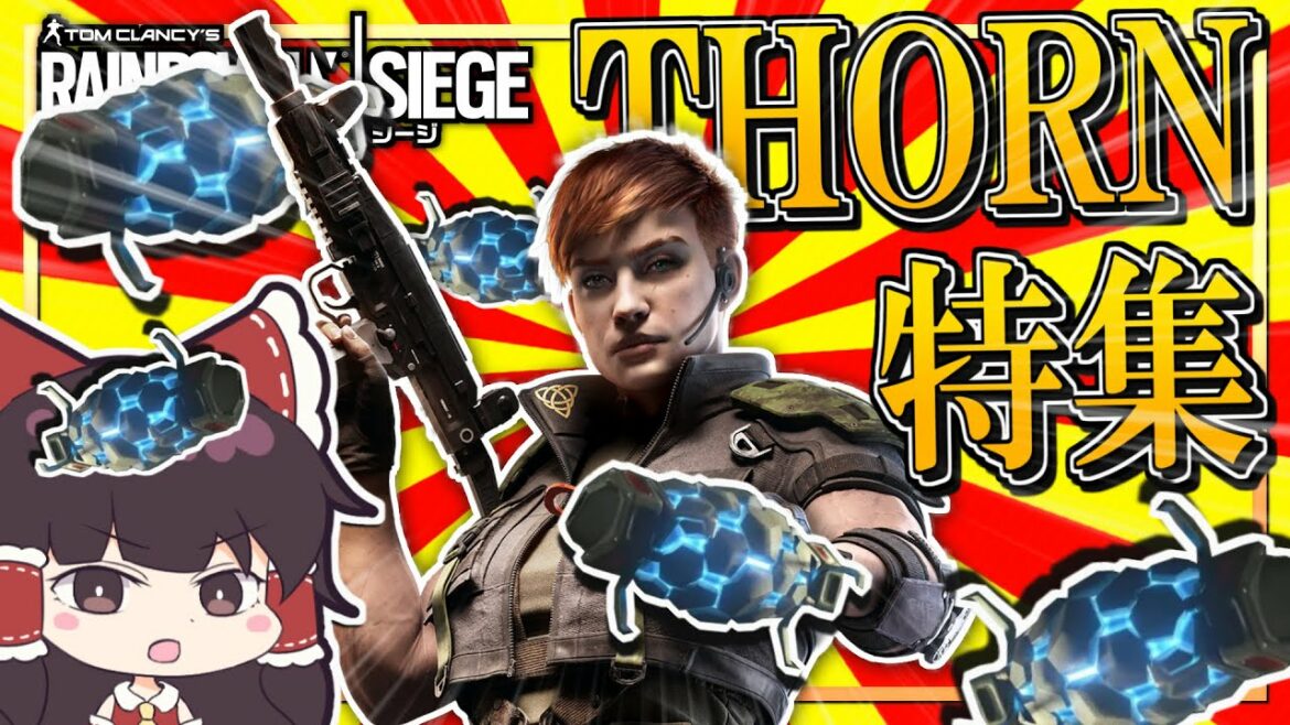 【R6S】D部隊が行く!レインボーシックス シージ #47【ゆっくり実況】