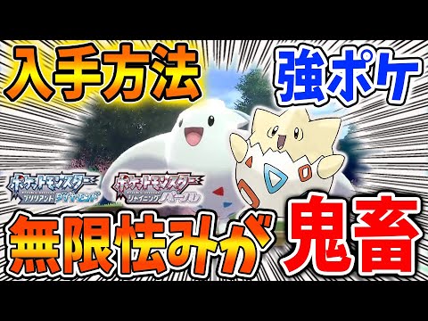 ポケモン ダイパリメイク 無限怯みの極悪コンボ ドゲキッス 進化前トゲピーの入手方法 ひかりのいしもいるので注意 攻略 ブリリアントダイヤモンド シャイニングパール sp 厳選 メタモン Games Wacoca Japan People Life Style