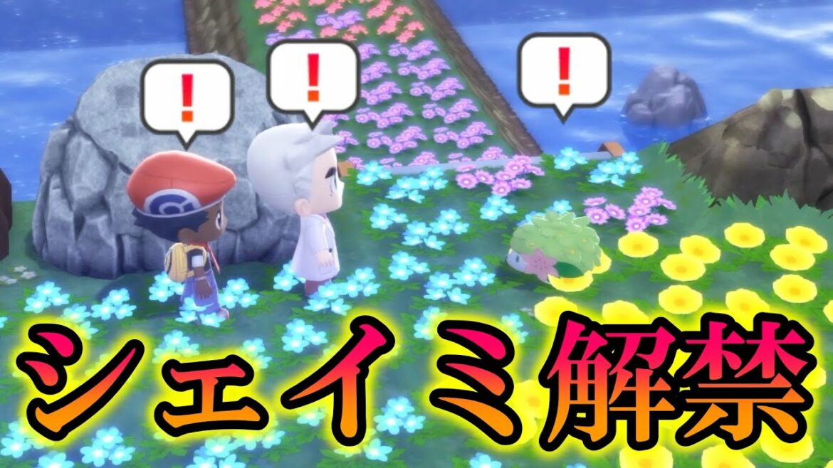 【最高】オーキドの手紙の「シェイミ」イベントが解禁!グラシデアの花でスカイフォルムにしたら最高すぎたww【BDSP/ダイパリメイク】