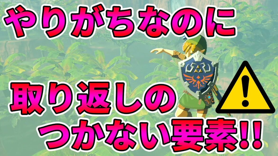 【ゼルダの伝説】失敗する前に知っておくべき!取り返しのつかない要素!最高防御力ハイリアの盾 144厳選!【実況プレイ】ブレスオブザワイルド Nintendo Switch Part344