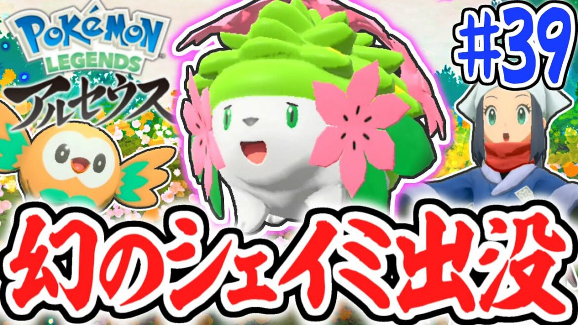 マボロシの花畑でシェイミを捕まえよう!!幻のグラシデアの花もゲット!!レジェンズアルセウス最速実況Part39【Pokémon LEGENDS アルセウス】