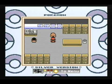 ポケットモンスター 銀: ポケモン図鑑完成