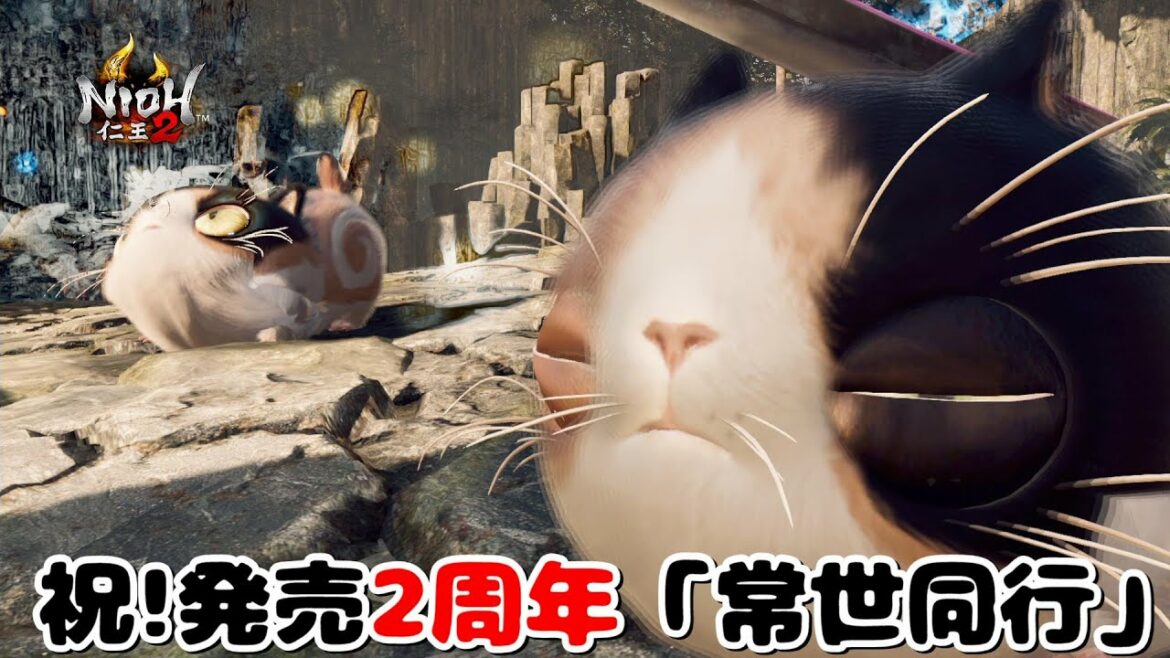 【仁王2】祝!発売2周年!縛り無し 常世同行 / 深部26階~ / 地蔵2体