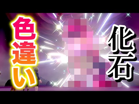 【期間限定】超かっこいい〇〇の色違いが出現!最高すぎる化石レイド!【冠の雪原/ポケモン剣盾有料DLC】