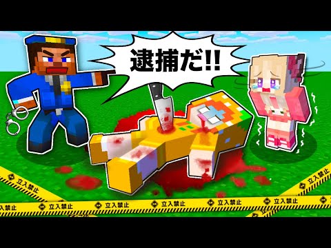 『犯人は私じゃない❗️💦』マイクラで超怖い泥棒を探し出した結果!?セキュリティ逆脱獄マインクラフト