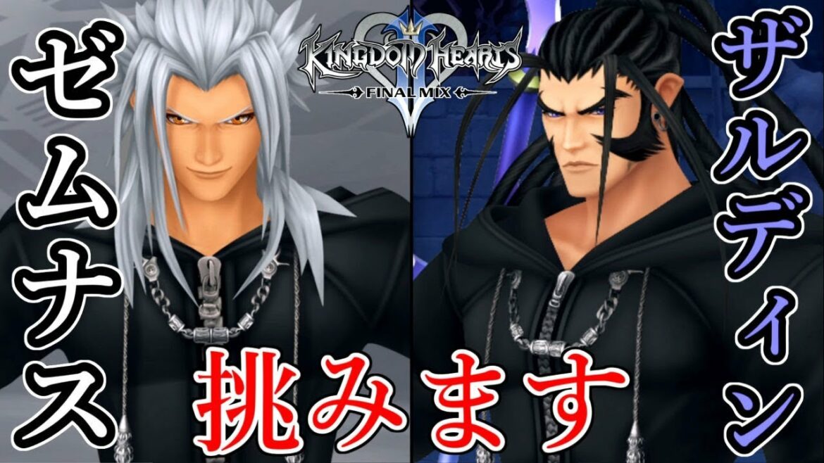 最初っっから最強のソラ VS リミカXIII機関(ゼムナス、ザルディン戦)【キングダムハーツ2】