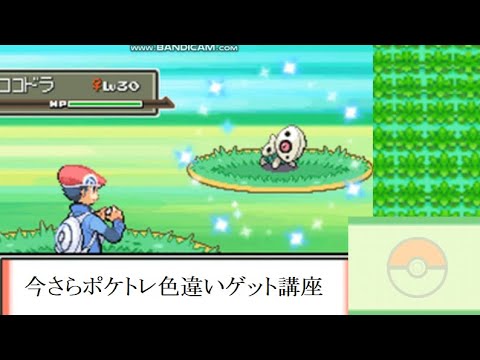 【祝リメイク】今さらポケトレ色違いゲット講座・実践編【ポケモンプラチナ】